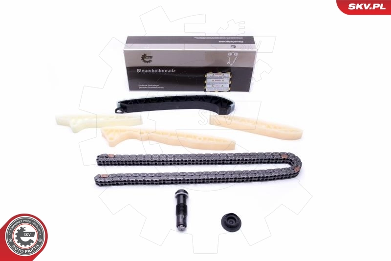 Timing Chain Kit